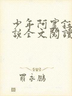 少年阿宾钰慧小说全文阅读