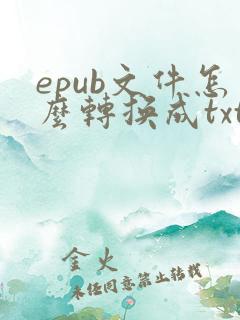 epub文件怎么转换成txt
