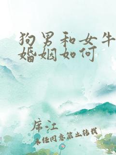 狗男和女牛相配婚姻如何