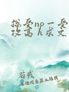 总受np一受多攻高 h求文