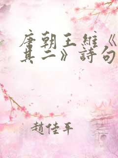 唐朝王维《杂诗其二》诗句鉴赏
