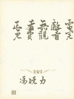 正者无敌电视剧免费观看完整版