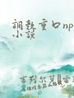 调教重口np文小说