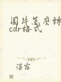 图片怎么转换成cdr格式