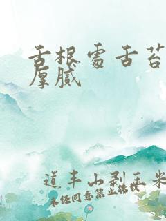 舌根处舌苔发黄厚腻