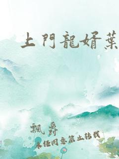 上门龙婿叶吴