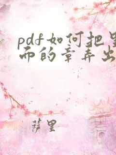 pdf如何把里面的章弄出来