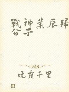 战神叶辰归来叶公子
