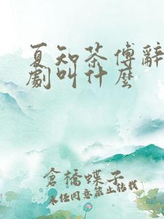 夏知茶傅辞与短剧叫什么