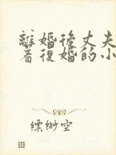 离婚后丈夫哭求着复婚的小说