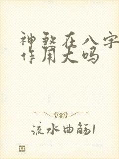 神煞在八字中的作用大吗