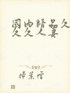 国内精品久久久久久人妻