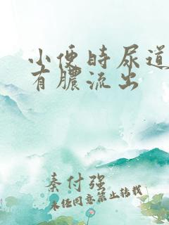 小便时尿道刺痛有脓流出