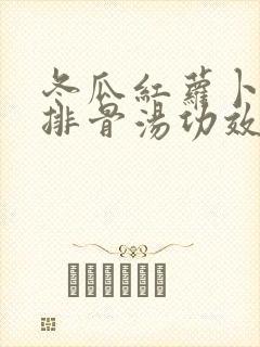 冬瓜红萝卜玉米排骨汤功效