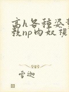 高h各种姿势调教np肉奴视频
