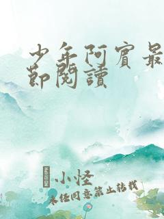 少年阿宾最新章节阅读