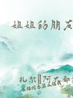 姐姐的朋友中4