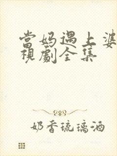 当妈遇上婆婆电视剧全集