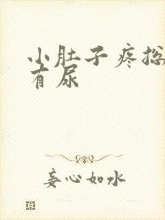 小肚子疼总觉得有尿