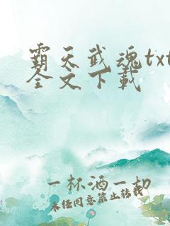 霸天武魂txt全文下载