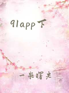 91app下