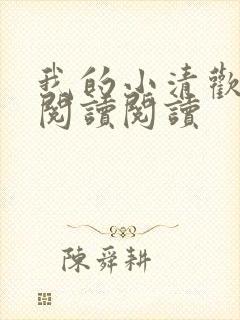 我的小清欢全文阅读阅读
