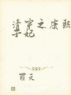 清穿之康熙与太子妃