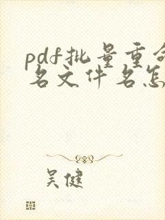 pdf批量重命名文件名怎么弄