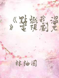 《点燃我温暖你》电视剧免费观看