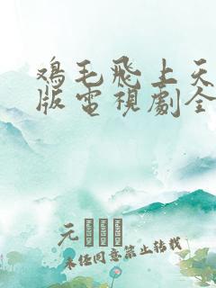 鸡毛飞上天免费版电视剧全集观看免费