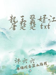 龙王医婿江辰,唐楚楚 txt