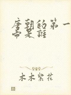 唐朝的第一个皇帝是谁