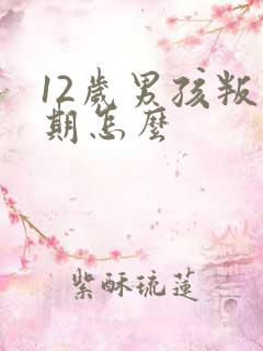 12岁男孩叛逆期怎么
