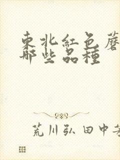 东北红色蘑菇有哪些品种