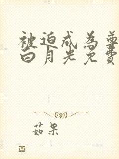 被迫成为尊上的白月光免费阅读