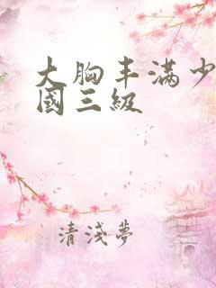 大胸丰满少妇韩国三级