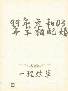 99年兔和03年羊相配婚姻如何