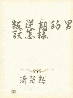 叛逆期的男孩子该怎样