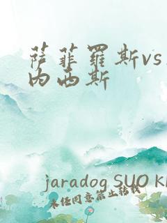 萨菲罗斯vs杰内西斯
