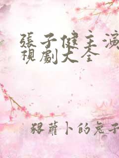 张子健主演的电视剧大全