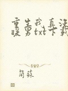 重生我真没想当暖男txt下载