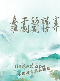 妻子的谎言 电视剧剧情介绍