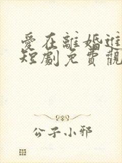 爱在离婚进行时短剧免费观看全集