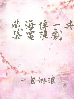 藏海传一共多少集电视剧