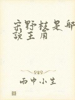 宋野枝是哪本小说主角