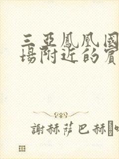 三亚凤凰国际机场附近的宾馆