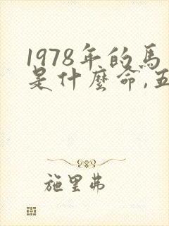 1978年的马是什么命,五行属性