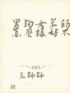 男狗女羊的婚姻怎么样好不好