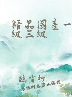 精品国产一级二级三级
