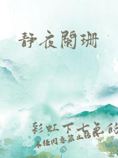 静夜阑珊